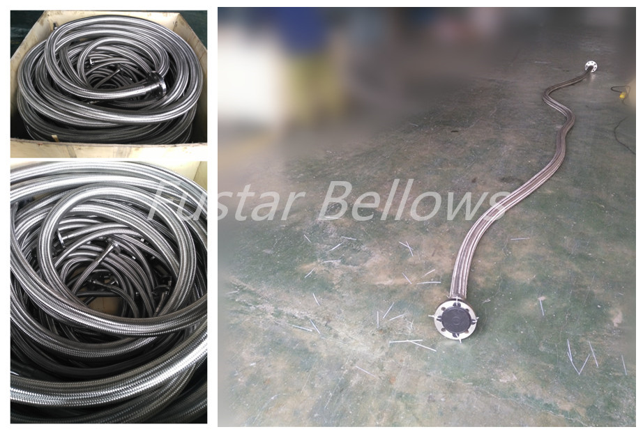 DN50 flexible metal hose