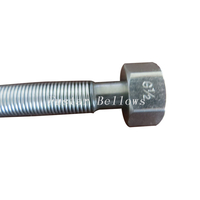 AISI304 316l British Standard BSP female threaded flexible metal hose pipe 