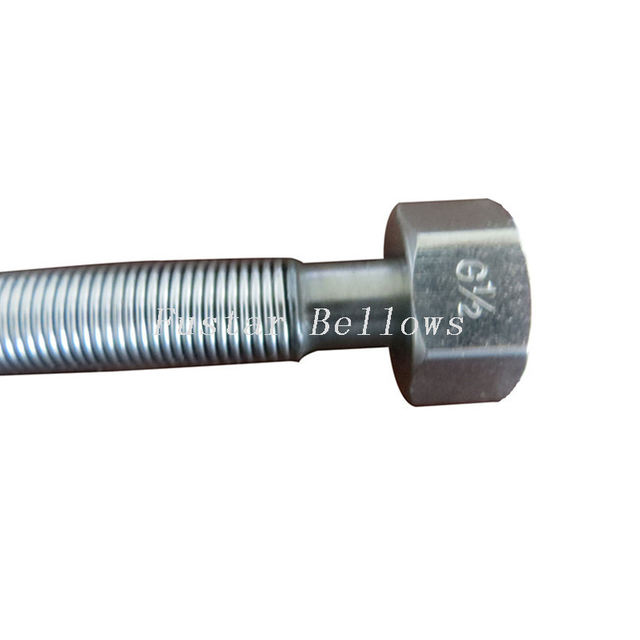 AISI304 316l British Standard BSP female threaded flexible metal hose pipe 