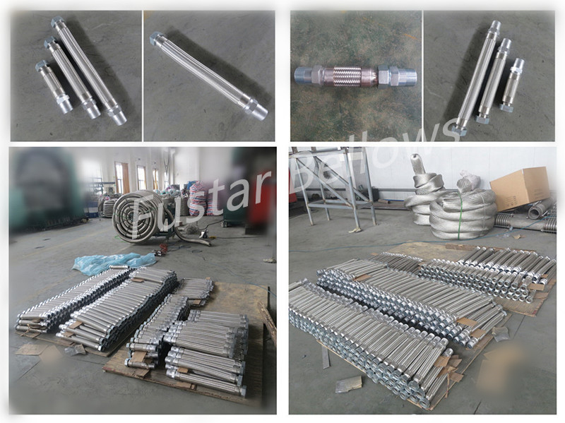 male threaded flexible metla hose